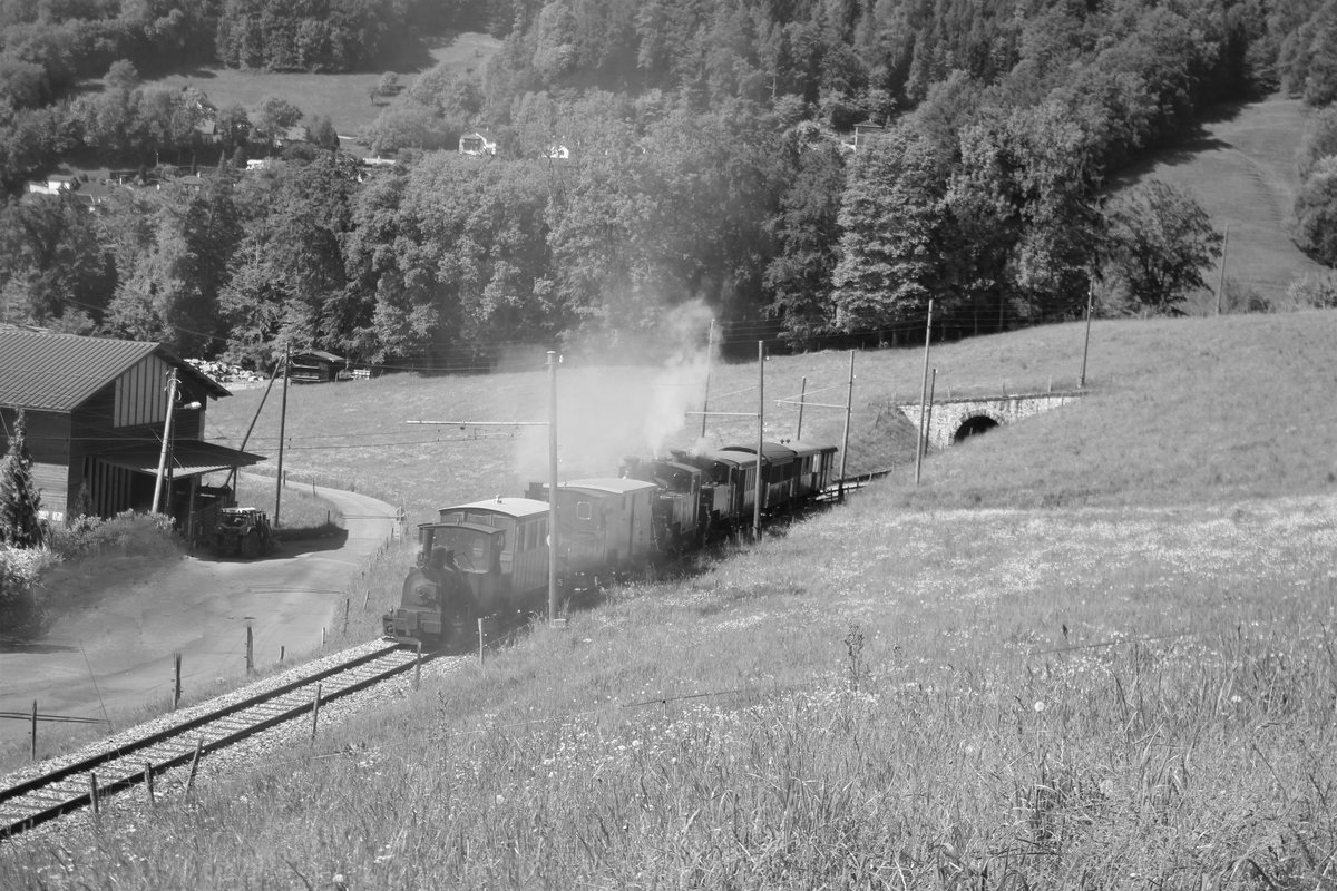 50 Jahre Blonay - Chamby: FESTIVAL OFF
Die G 2/2 Nr. 2  Ticino  ex. Monte Generoso Bahn, die LEB G 3/3 Nr. 5, die Blonay-Chamby BFD HG 3/4 Nr. 3 und die FO HG 3/4 Nr. 4 bei Cornaux. 

Freitag, 11. Mai 2018
