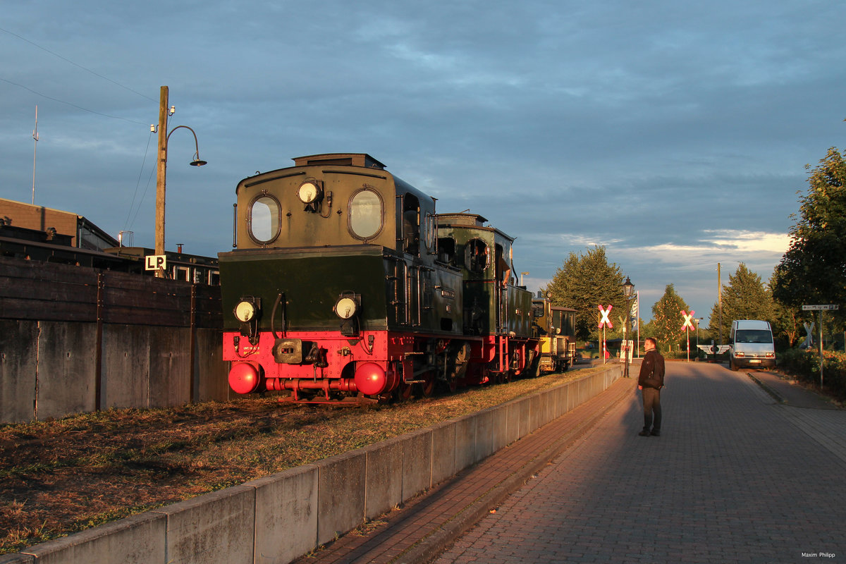 50 Jahre DEV (Deutscher Eisenbahn Verein e.V.): DEV 'Spreewald' (Jung - Jungenthal, Baujahr 1917) in der Abendsonne des 31. Juli 2016 im Bw Bruchhausen-Vilsen. 