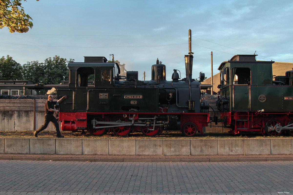 50 Jahre DEV (Deutscher Eisenbahn Verein e.V.): DEV 'Spreewald' (Jung - Jungenthal, Baujahr 1917) in der Abendsonne des 31. Juli 2016 im Bw Bruchhausen-Vilsen. 