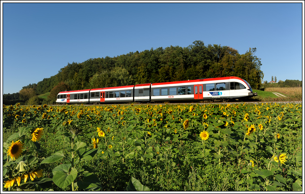 5063 009 als R 8512 am 23.9.2013 in Oisnitz aufgenommen.

