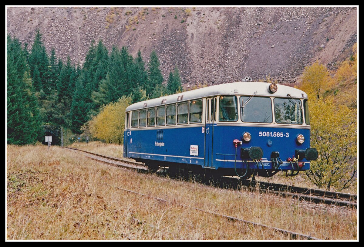 5081 565 bei der ehemaligen Haltestelle Feistawiese am 13.10.2002. Im Hintergrund ist das Ostportal des Plattentunnels zu sehen.