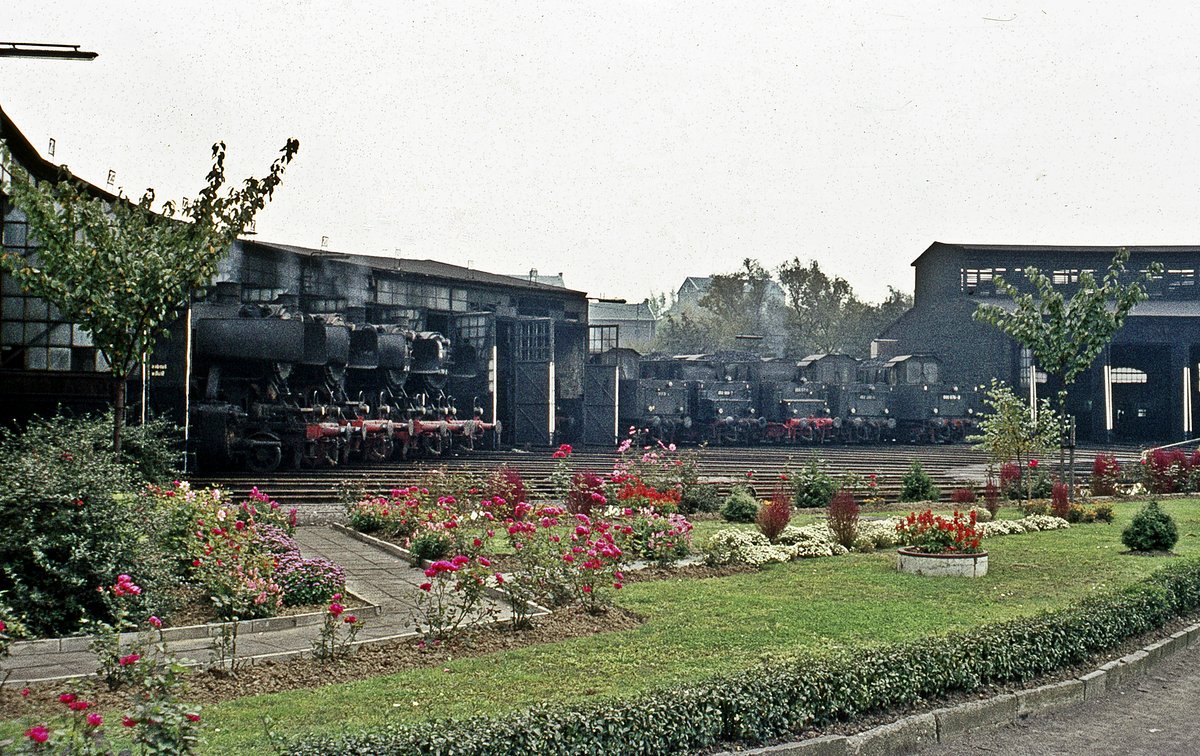50'er  Lokparade im Bw Stolberg 