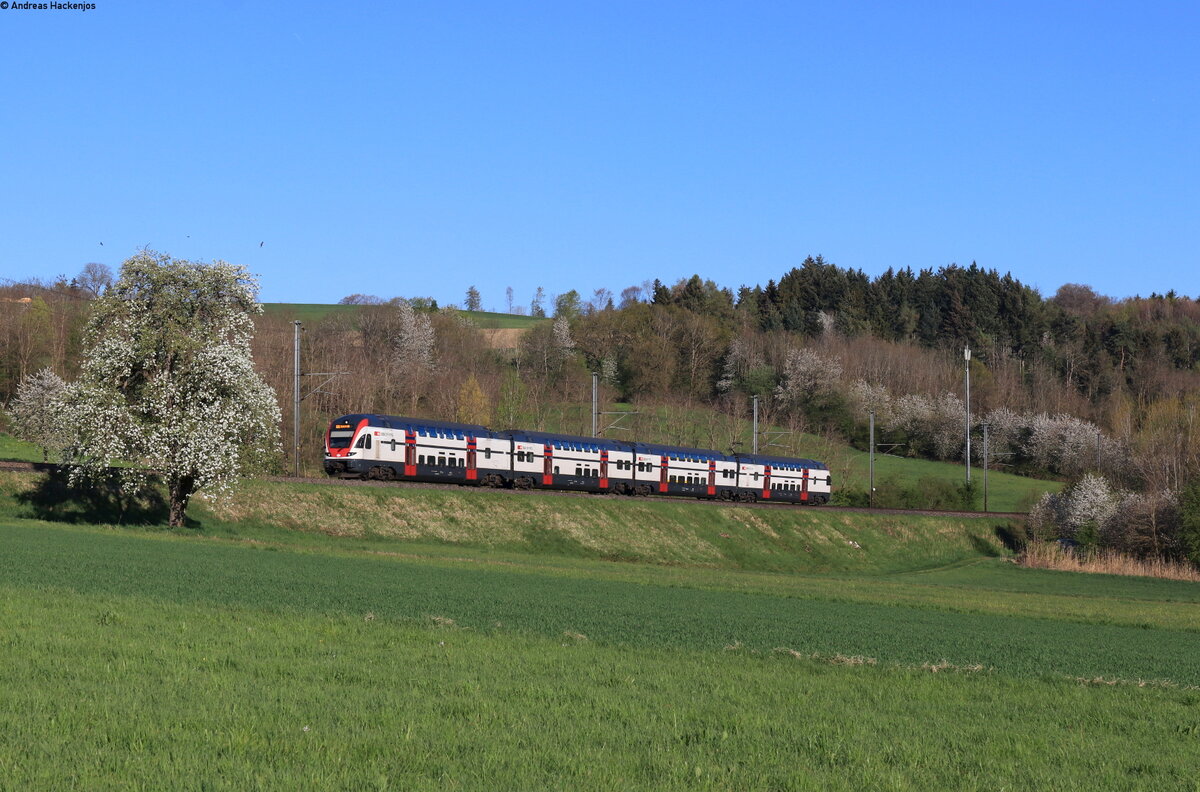 511 124 als RE 4913 (Schaffhausen – Zürich HB) bei Lotstetten 17.4.22