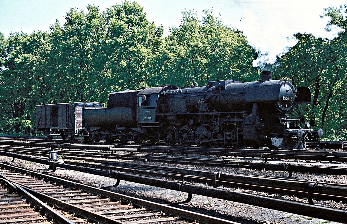 52 2163  B. - Hundekehle  27.05.77