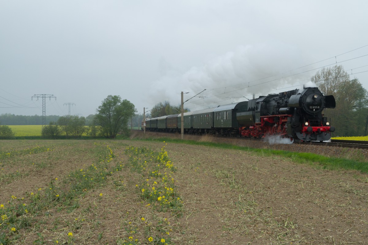 52 8131 mit ein Sonderzug aus Berlin passiert bei Priestewitz auf der Laufweg nach Dresden. 12 April 2014.