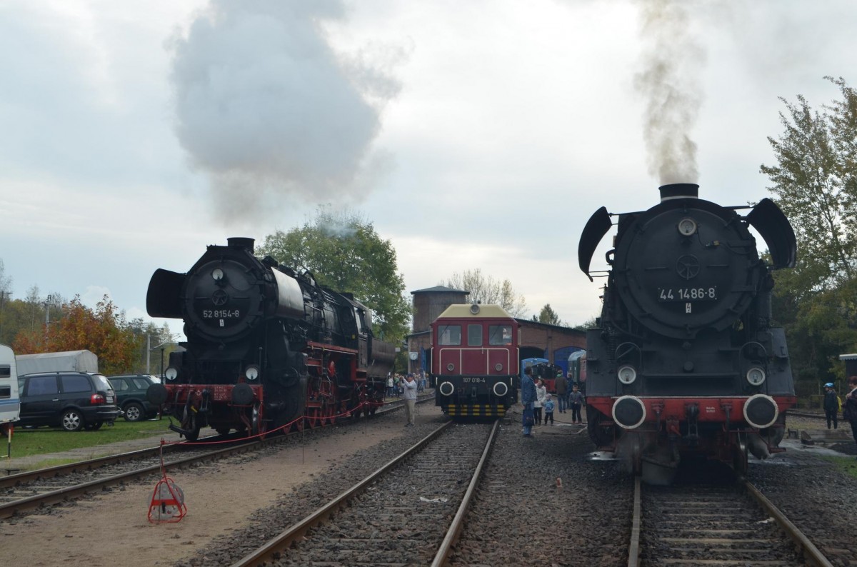 52 8154-8,107 018 & 44 1486-8 bei den 14. Eisenbahntag in Leipzig Plagwitz 25.10.2014