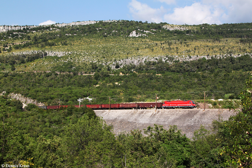 541 003 mit Güterzug am 10.08.2014 bei Hrastovlje.