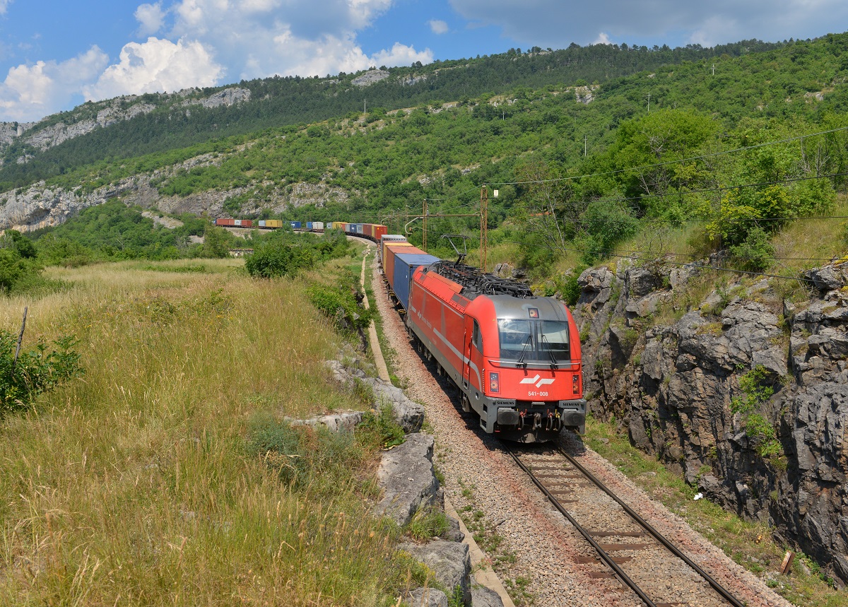 541 008 mit einem Containerzug am 09.06.2015 bei Zanigrad. 
