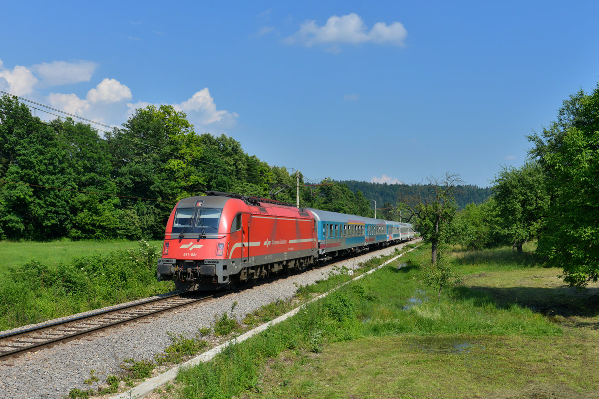 541 021 mit D 210 am 10.06.2015 bei Zaloše.