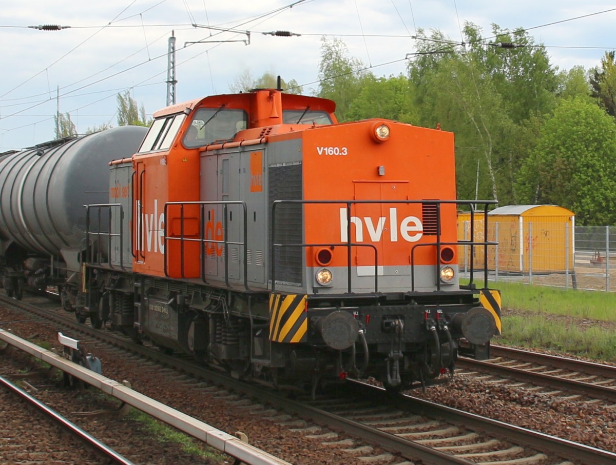 5.5.15 Zepernick. V160.3 (203 105-2)der HVLE mit Kesselzug Richtung Karow - westlicher Innenring