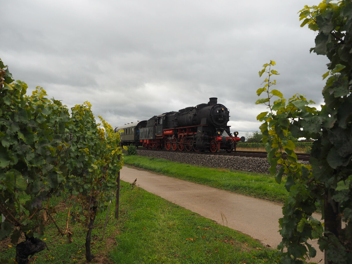 58 311 der Ulmer Eisenbahnfreunde zieht einen Dampfzug von Landau nach Neustadt/W., aufgenommen vor dem Bahnhof Edesheim.

Anlass meiner Reise war das 175-jährige Jubiläum der Eisenbahn in der Südpfalz. 
Edesheim, der 01.10.2022