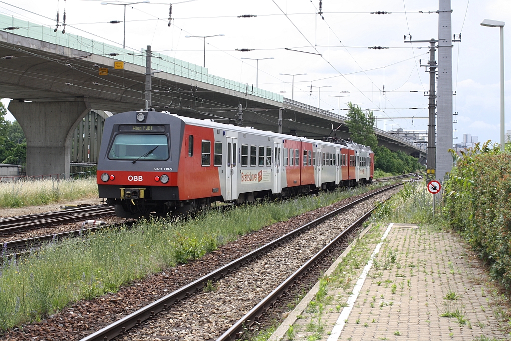 6020 318-9 am 20.Juni 2015 im offensichtlich biologisch abbaubarem Bf. Nussdorf.