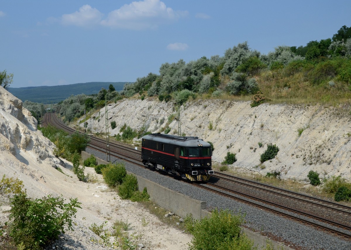 609 003 am 27.07.2013 bei Szr.