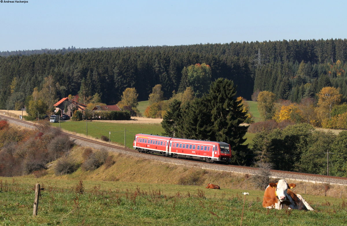 611 001-8 als IRE 3211 (Neustadt(Schwarzw)-Ulm Hbf) bei Löffingen 14.10.17