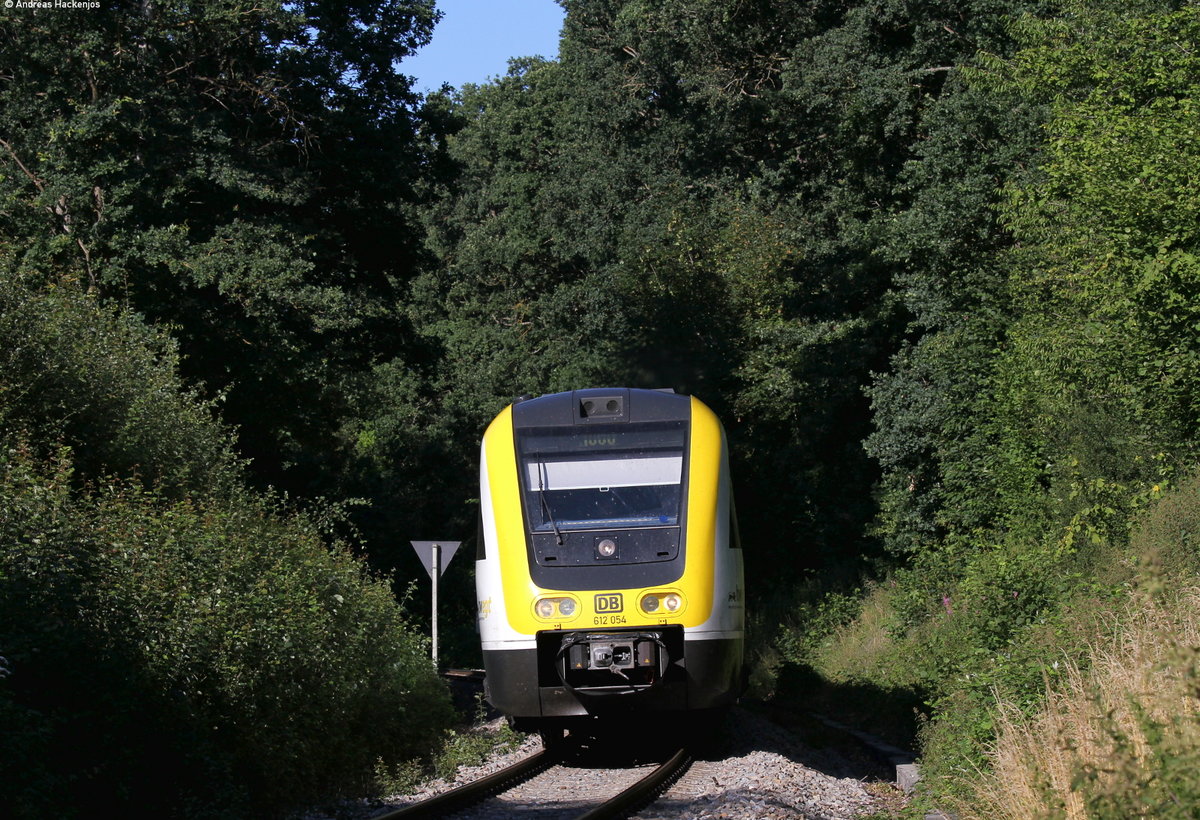 612 054-6 als RB 22300 (Villingen(Schwarzw)-Rottweil) bei Zollhaus 9.7.18