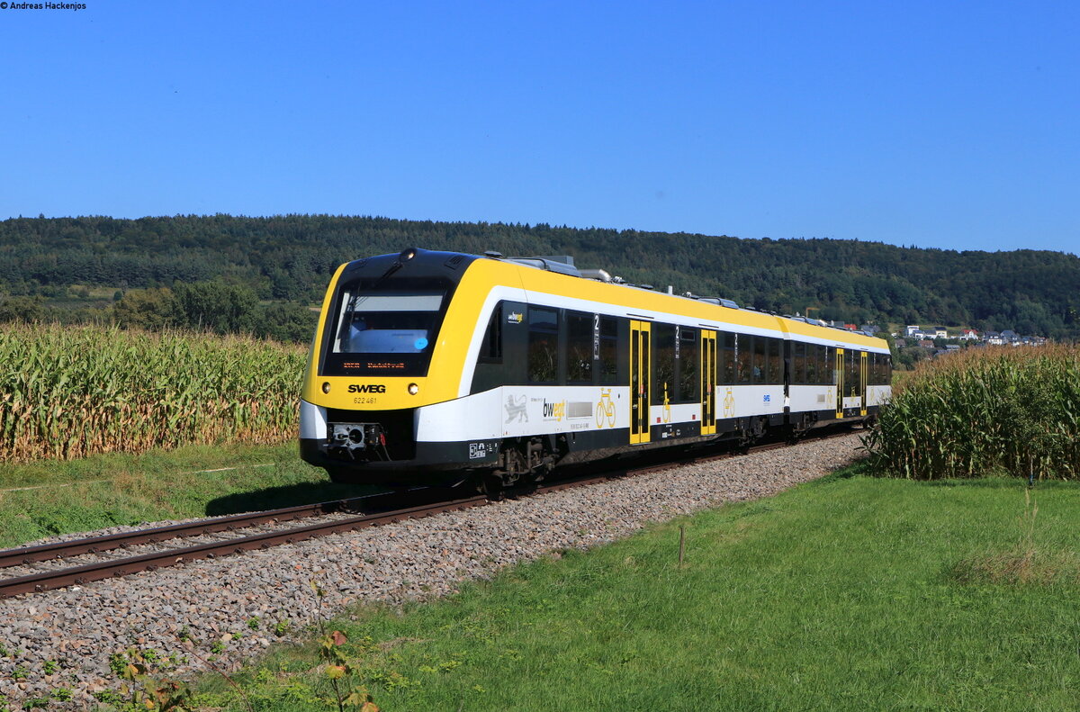 622 461 als RB 17768 (Eriskirch-Radolfzell) bei Espasingen 24.9.21