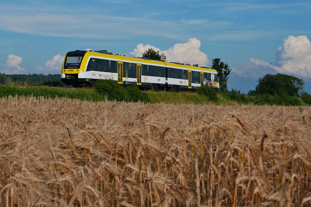 622 461 als RB 22789, Radolfzell - Friedrichshafen, kurz nach der Abfahrt in Salem (19.07.2020)