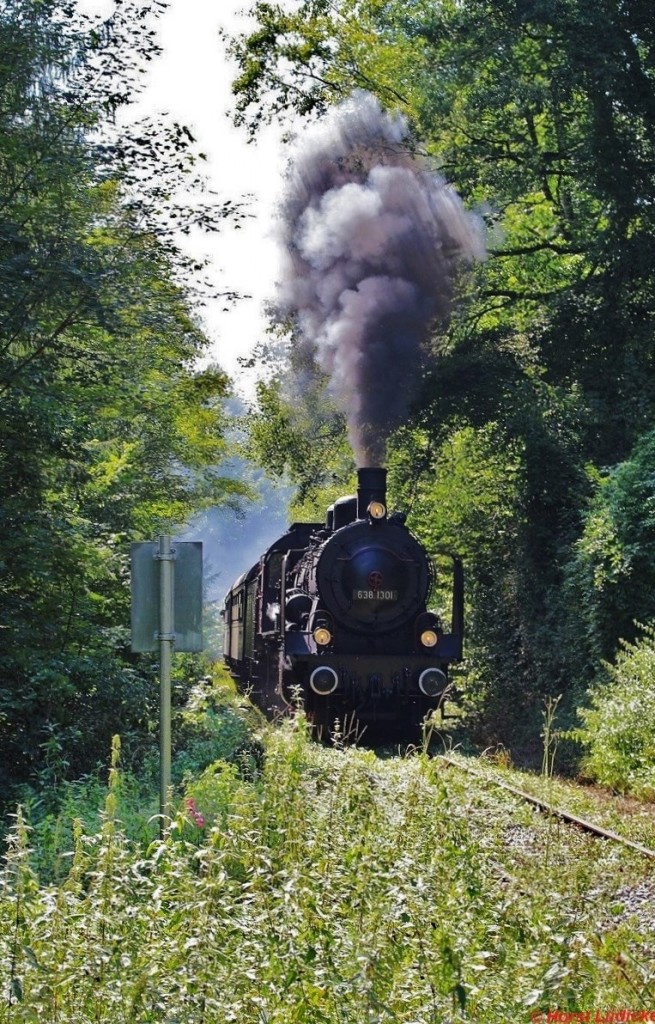 638.1301 der GEG auf der Steigungsstrecke zwischen Amerang und Taiding am 17.08.2013. Leider ist diese Aufnahme am Nachmittag nur bei fast totalem Gegenicht mglich.