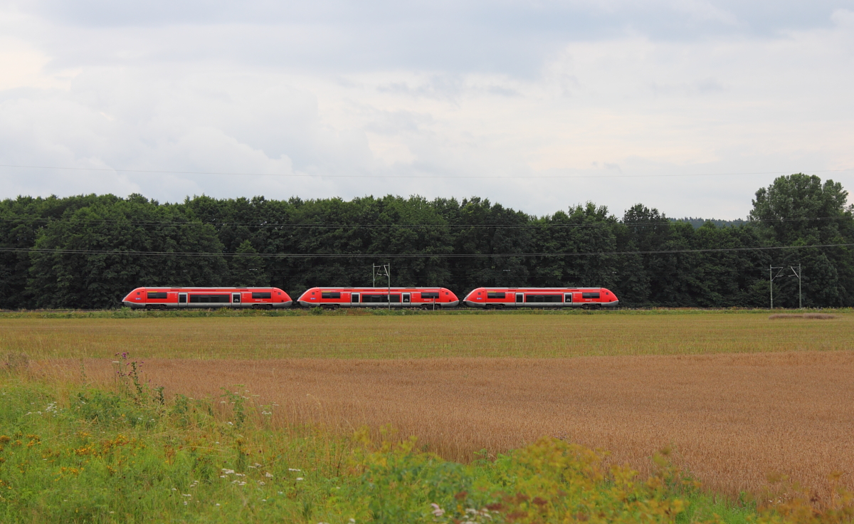 641 029 + 641 028 + 641 039 DB Regio bei Hochstadt/ Marktzeuln am 27.07.2017.