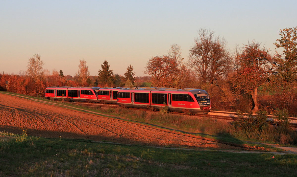 642 186 als RE Hessental-Heilbronn am 06.11.2020 bei Öhringen-Cappel. Dahinter ist eine Doppeltraktion 642 als RE Heilbronn-Crailsheim zu erkennen. 