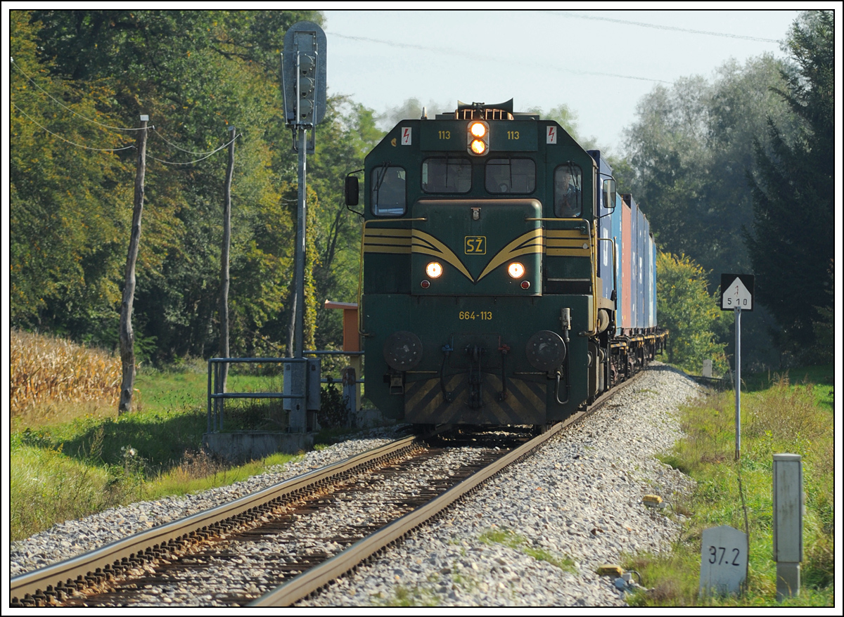 644-113 mit einem Containerzug, aufgenommen am 8.10.2013 rund eineinhalb Kilometer vor der Haltestelle Velika Nedelja Richtung Pragersko fahrend.