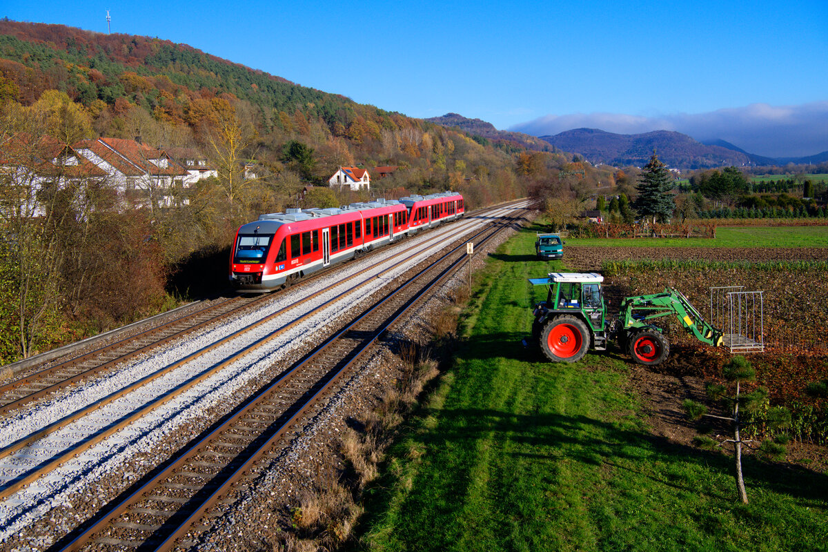 648 311 DB Regio als Leerreisezug bei Hersbruck rechts der Pegnitz Richtung Nürnberg, 09.11.2020