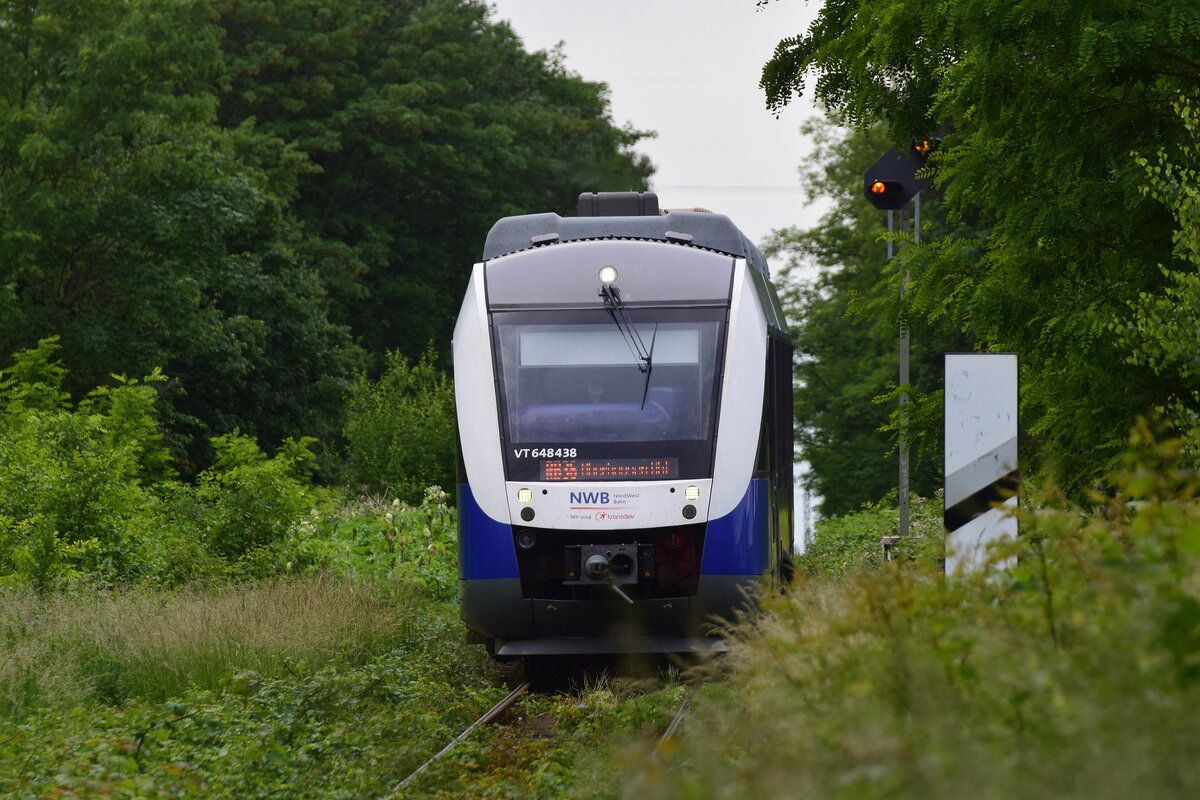 648 438 kämpft sich durch den grünen Dschungel von Duisburg Meiderich auf den Weg nach Oberhausen. Fotostandpunkt war der Haltepunkt Duisburg Obermeiderich.

Duisburg 29.05.2022