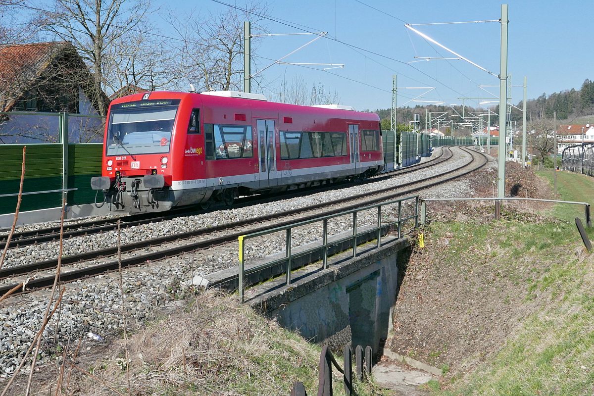 650 017 als RB 92 / RB 17827 auf der Fahrt von Aulendorf nach Lindau-Insel. Bodolz, 24.03.2021