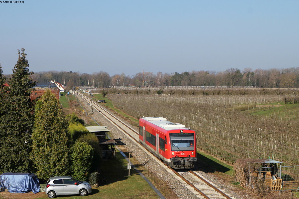 650 018-5 als RB 22711 (Friedrichshafen Stadt-Lindau Hbf) bei Gohren 30.3.19