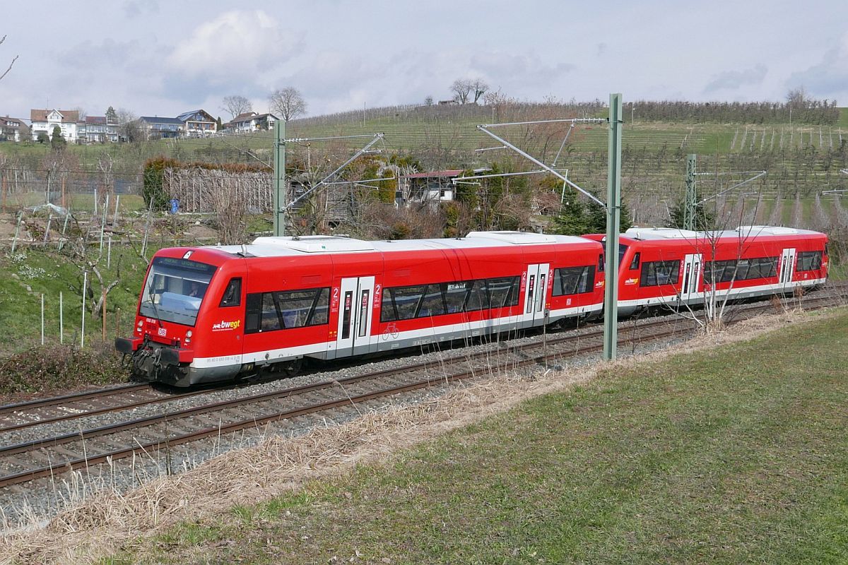 650 019 als RB 92 / RB 17829, Aulendorf - Lindau-Insel, am 10.03.2021 bei Bodolz.