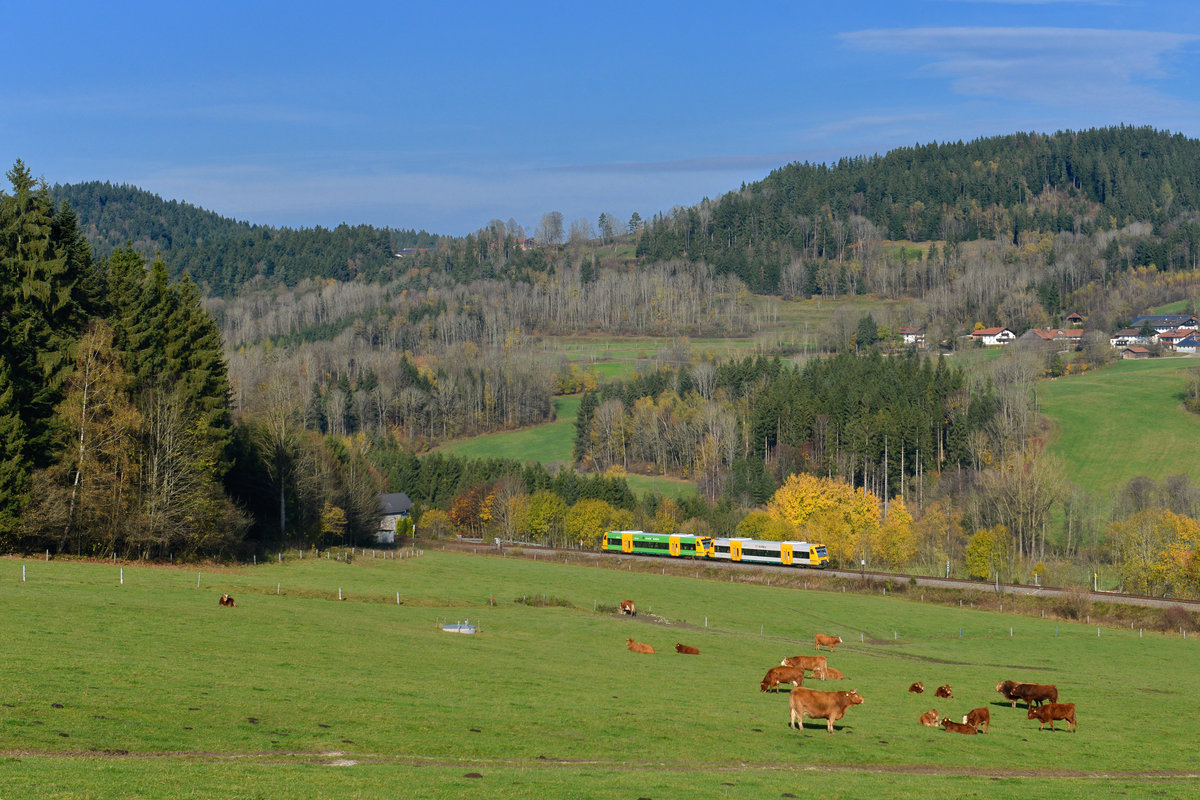 650 067 + 650 076 als WBA1 am 02.11.2017 bei Zierbach. 