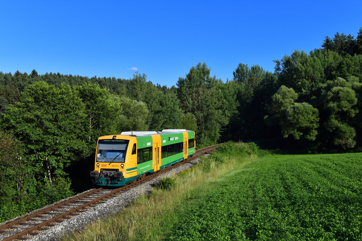 650 077 als WBA4 am 20.06.2018 bei Patersdorf. 