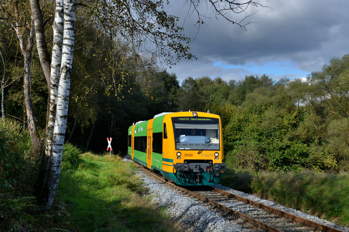 650 077 als WBA4 nach Gotteszell am 08.10.2016 bei Patersdorf. 