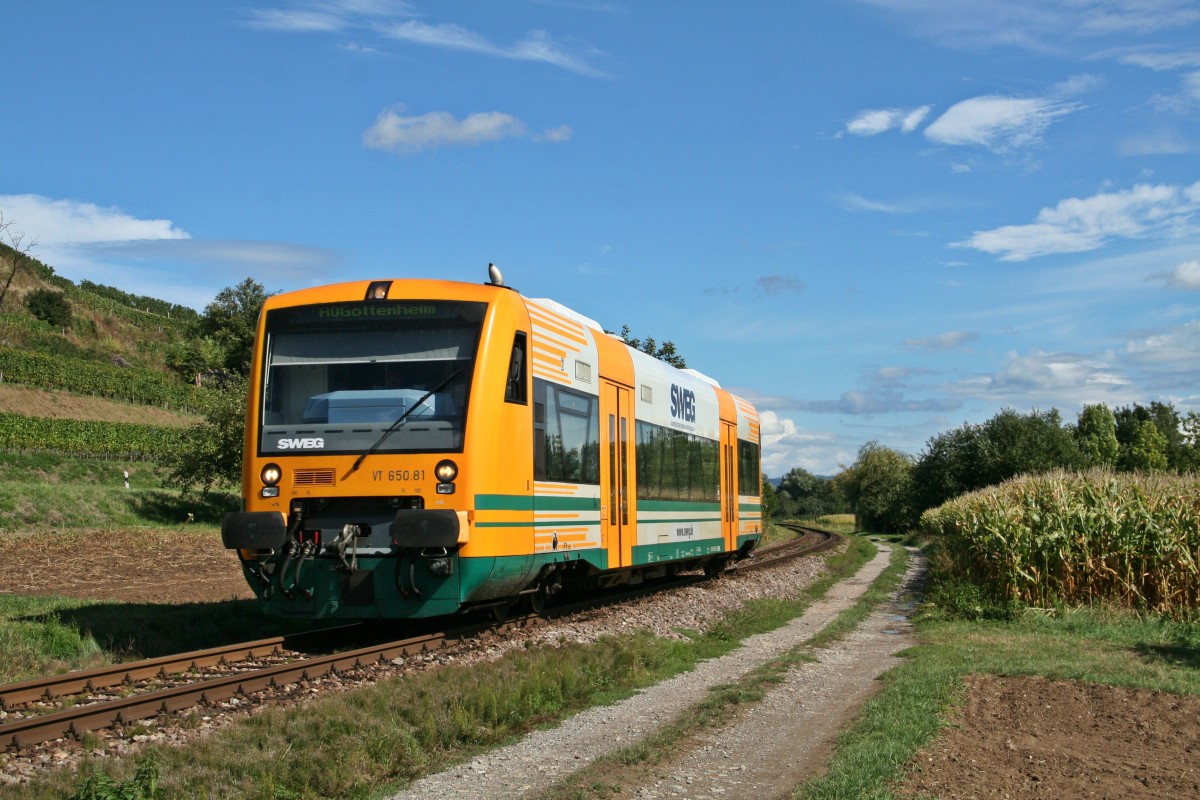 650 081-2, welcher von der ODEG an die SWEG verkauft wurde, war am 14.09.15 am Kaiserstuhl unterwegs. Hier konnte der  Kartoffelk�fer  auf dem Weg von Endingen (am Kaiserstuhl) nach Gottheim kurz vor Eichstetten aufgenommen werden.