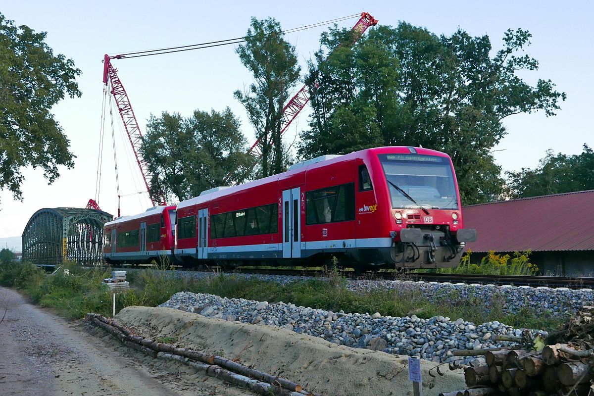 650 314 und ein weiterer Triebwagen der Baureihe 650 fahren kurz nach der Argenbrcke an mehreren Ersatzhabitaten fr die Schlingnatter vorbei. Text auf dem kleinen DB-Schild rechts unten neben dem Holzstapel und vor dem Sandhaufen: „Dies ist ein Ersatz-Habitat fr Reptilien, insbesondere fr die streng geschtzte Schlingnatter. Die Manahme wird im Zuge der Elektrifizierung der Sdbahn Ulm-Friedrichshafen-Lindau, PfA 4 hergestellt. Bitte nicht beschdigen und nicht entwenden! Bei Fragen wenden Sie sich an 0721 / ….“ (Anmerkung vom Fotograf: Vollstndig Tel.nr. kann bei Bedarf mitgeteilt werden)