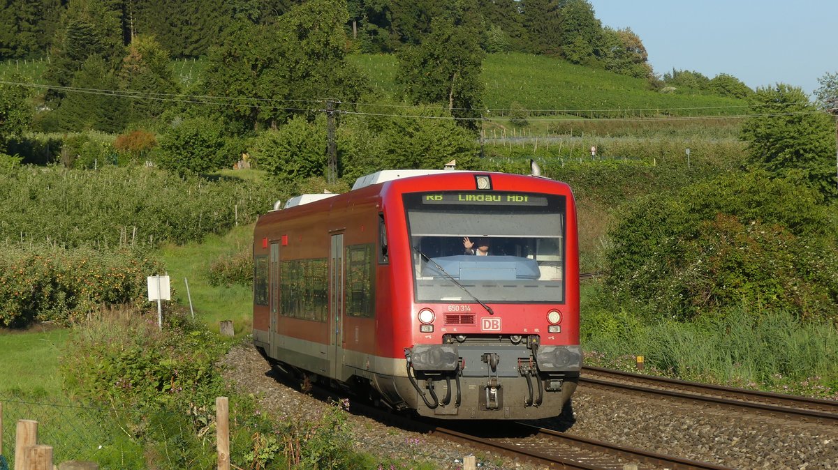 650 314 fährt als RB nach Lindau bei Bodolz um eine Kurve. Aufgenommen am 8.9.2018 18:10