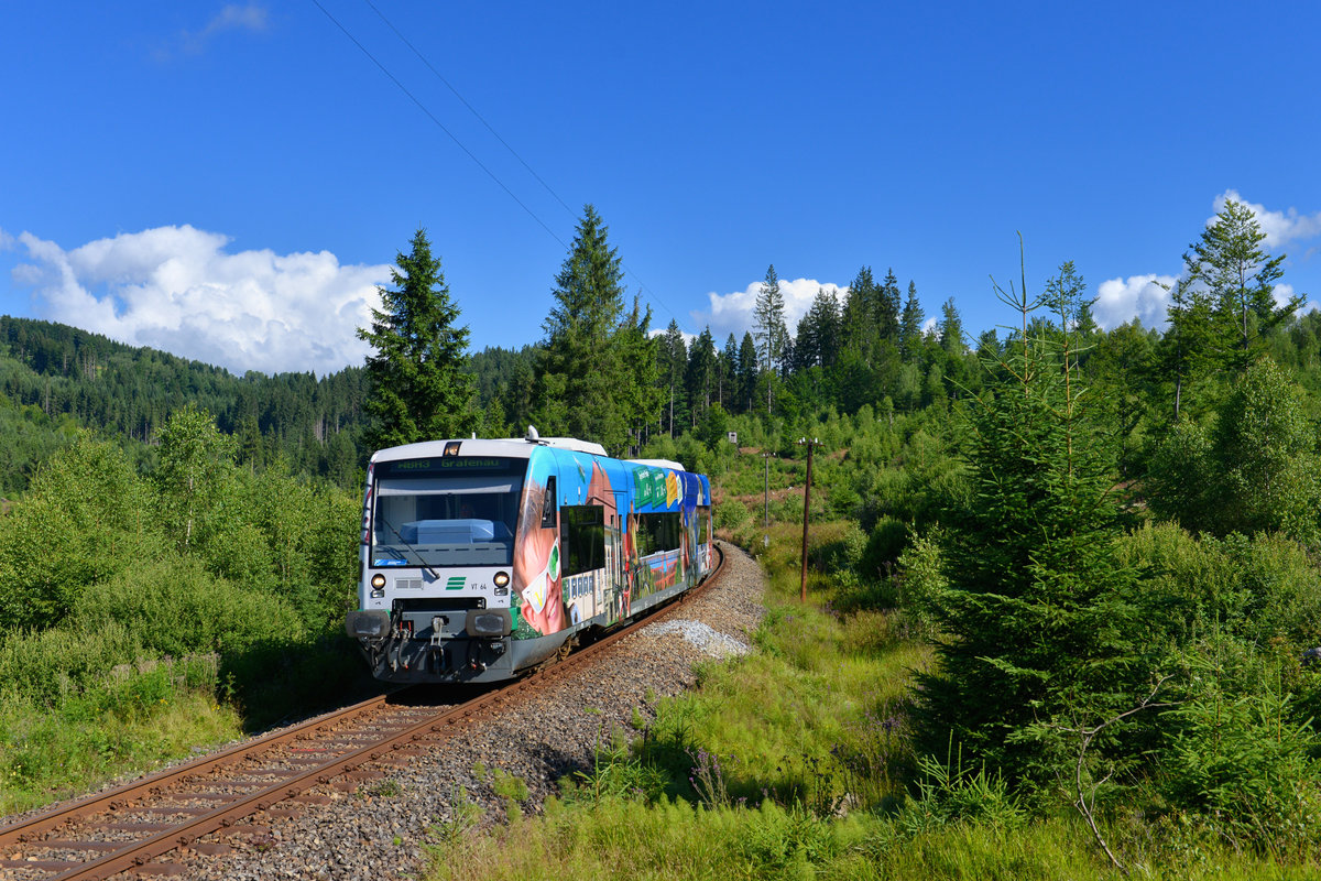 650 564 als WBA3 am 16.07.2017 bei Frauenau.