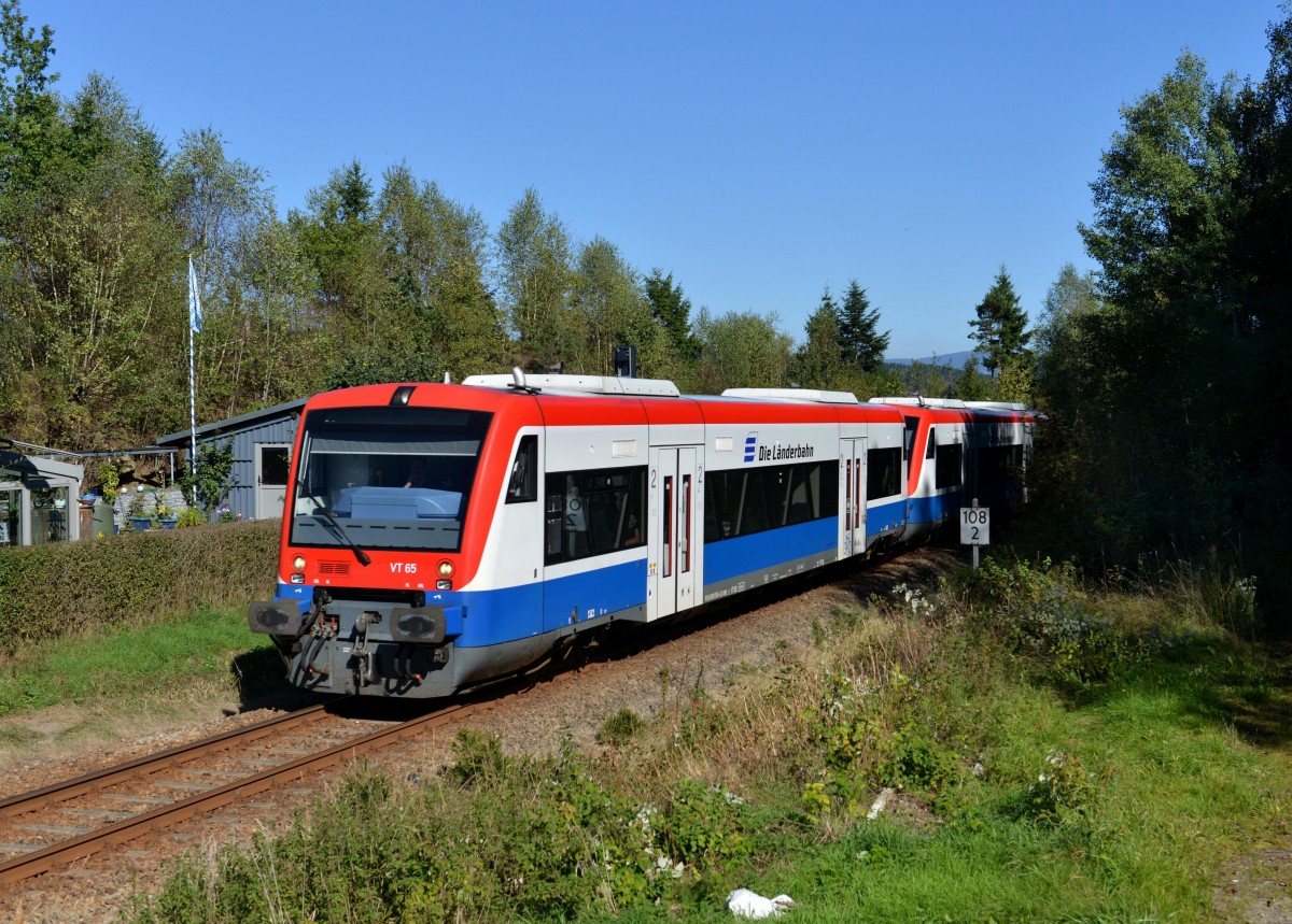 650 565 (VT 65) + 650 563 (VT 63) als RB nach Plattling am 03.10.2013 bei Regen.