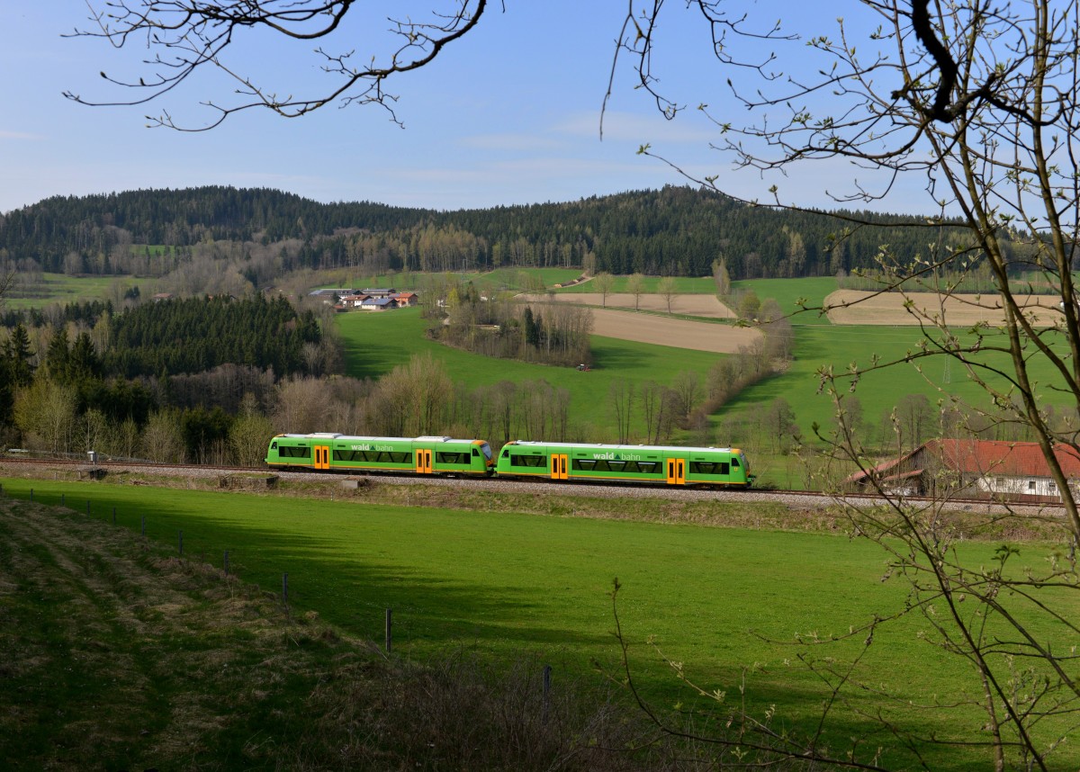 650 650 (VT 15) + 650 662 (VT 27) als RB nach Bayerisch Eisenstein am 26.04.2013 bei Triefenried. 
