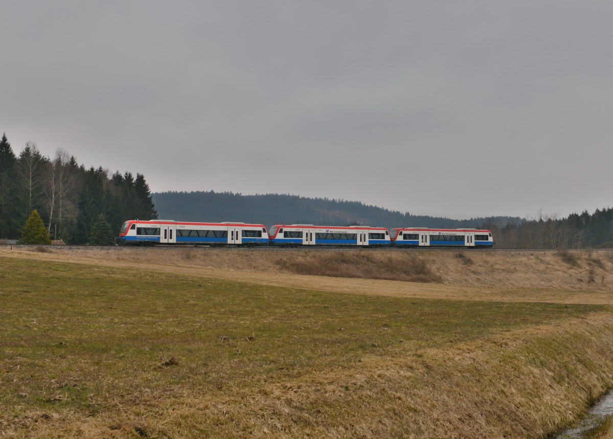 650 652 (VT 650-01) + 650 565 (VT 65) + 650 563 (VT 63) bei einer Überführungsfahrt nach Viechtach am 01.04.2013 bei Triefenried. 