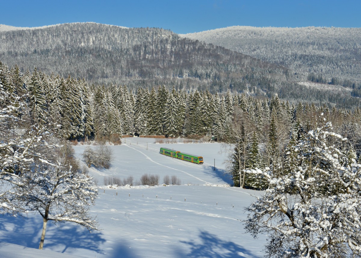 650 656 (VT 21) + 650 660 (VT 25) als WBA2 nach Zwiesel am 19.01.2016 bei Waldmann.
