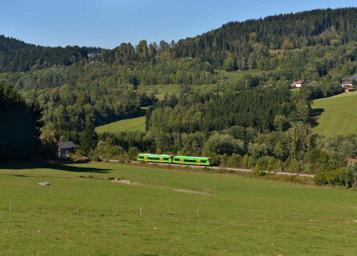 650 659 (VT 24) + 650 662 (VT 27) als RB nach Bayerisch Eisenstein am 03.10.2013 bei Triefenried.