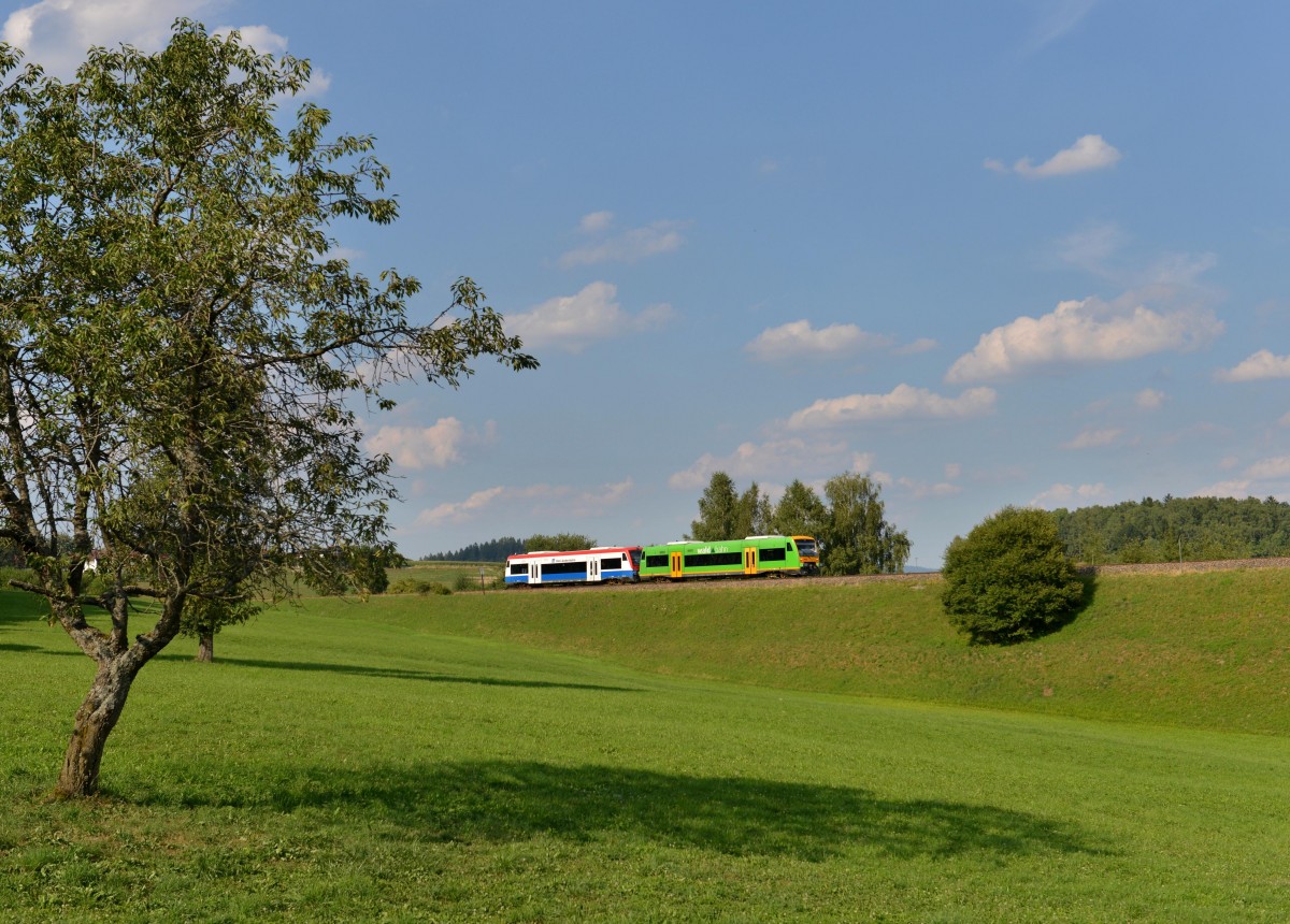 650 662 (VT 27) + 650 565 (VT 65) bei einer �berf�hrungsfahrt von Viechtach nach Zwiesel am 17.08.2013 bei Triefenried.