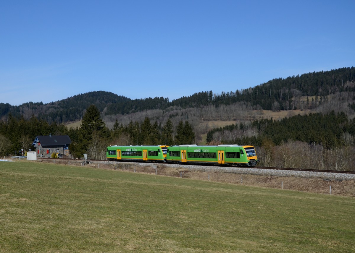 650 663 (VT 28) + 650 653 (VT 18) als RB nach Bayerisch Eisenstein am 17.03.2013 bei Triefenried.