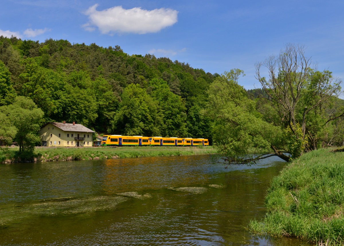650 673 (VT 40) + 650 666 (VT 33) + 650 664 (VT 31) als OPB 74181 am 18.05.2015 bei Miltach. 