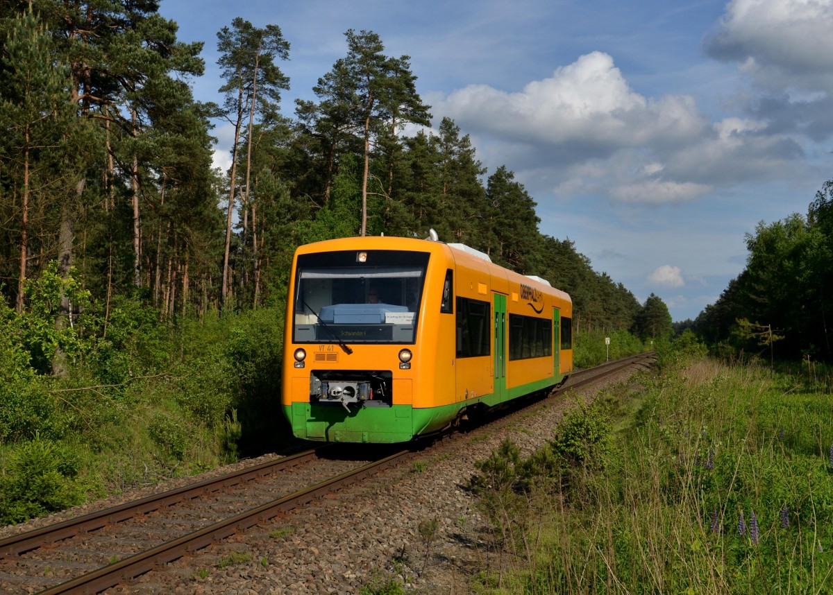 650 674 (VT 41) als RB nach Schwandorf am 06.06.2013 zwischen Neubu und Bodenwhr.