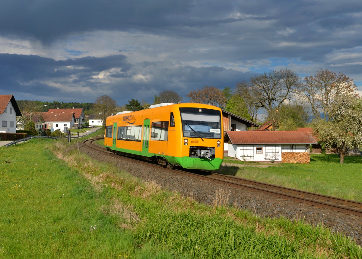 650 674 (VT 41) als RB nach Cham am 22.04.2014 bei Kammerdorf.