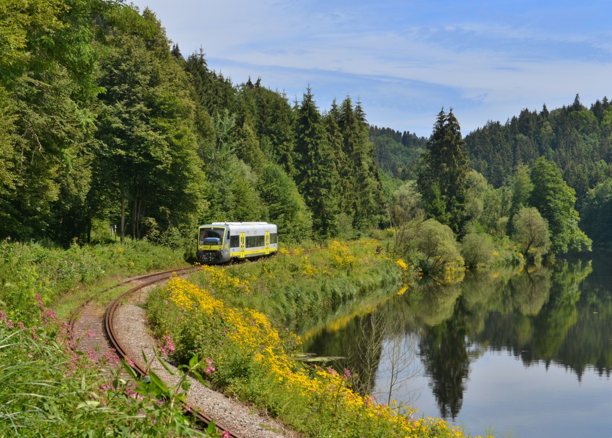 650 706 bei einer Sonderfahrt auf der Ilztalbahn am 01.08.2015 bei Fischhaus. 