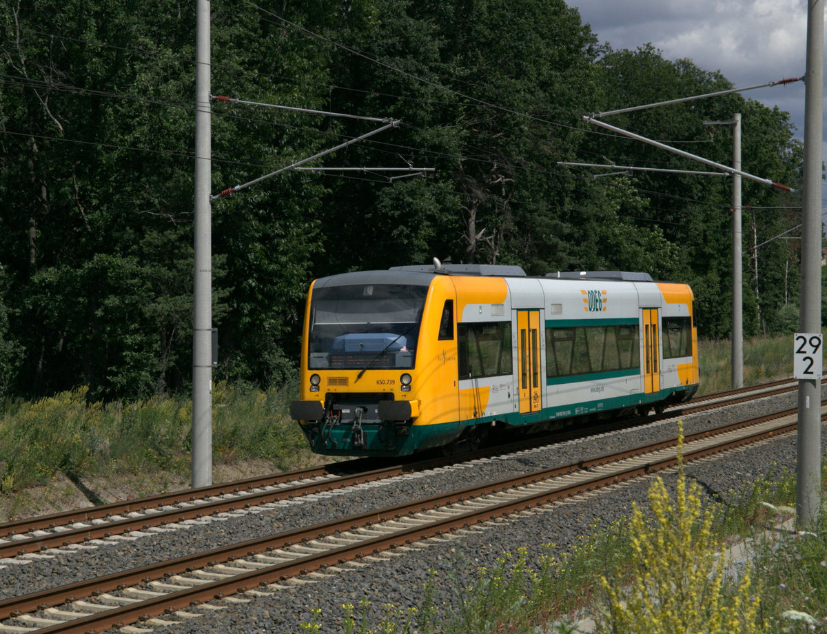 650 739 der ODEG aur der  Neubaustrecke , kurz hinter Niesky.11.07.2020 14:45 Uhr.
Gemeint ist die ausgebaute, sanierte Strecke Wegliniec-Roßlau.