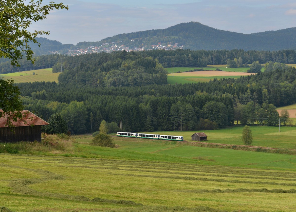 654 043 (VT 43) + 654 040 (VT 40) + 654 041 (VT 41) als Schlerzug nach Lam am 30.09.2013 bei Hohenwarth.
